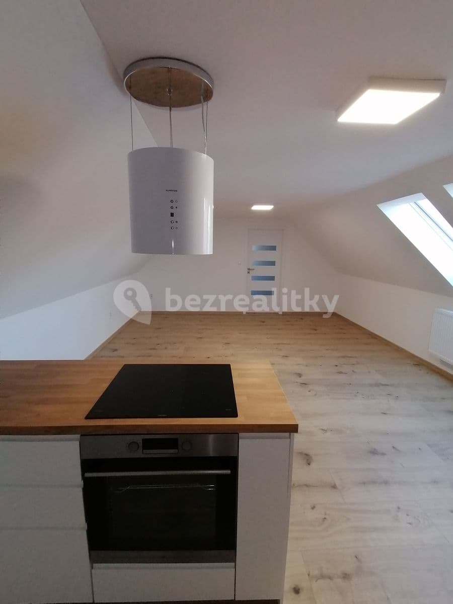 1 bedroom with open-plan kitchen flat to rent, 77 m², Dobrovická, Brodce, Středočeský Region 1 bedroom with open-plan kitchen flat to rent, 77 m², Dobrovická, Brodce, Středočeský Region
