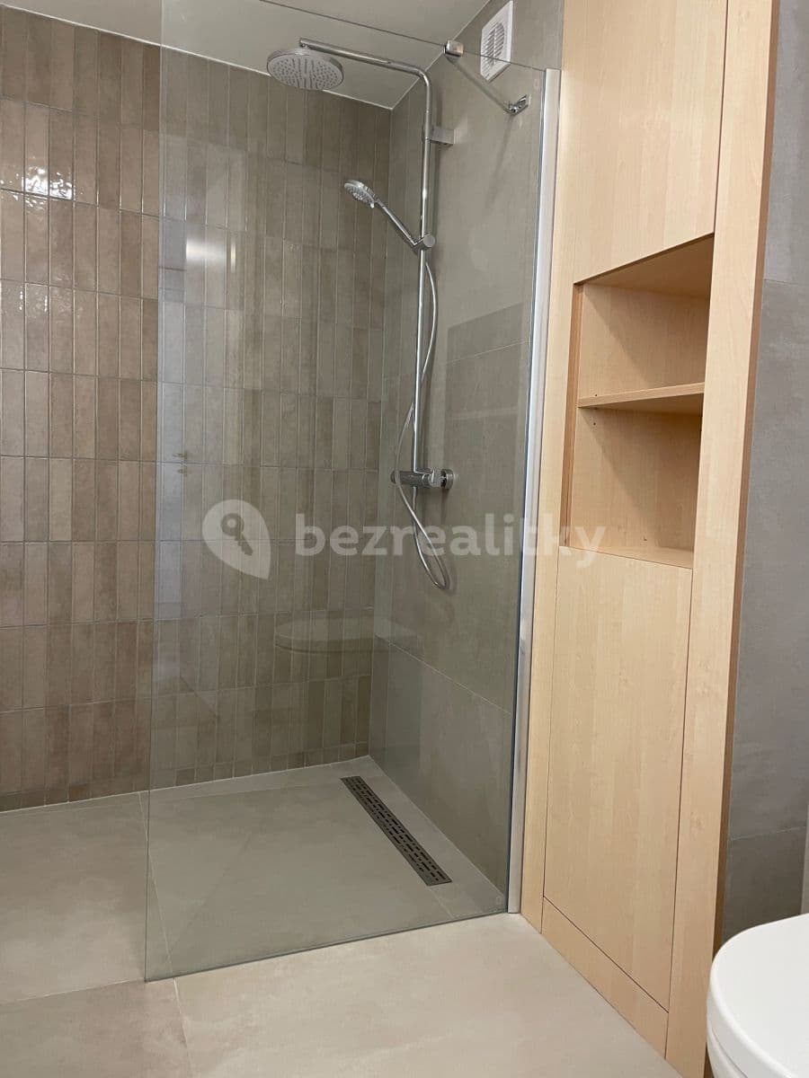 1 bedroom with open-plan kitchen flat to rent, 56 m², Legionářů, Prague, Prague 1 bedroom with open-plan kitchen flat to rent, 56 m², Legionářů, Prague, Prague