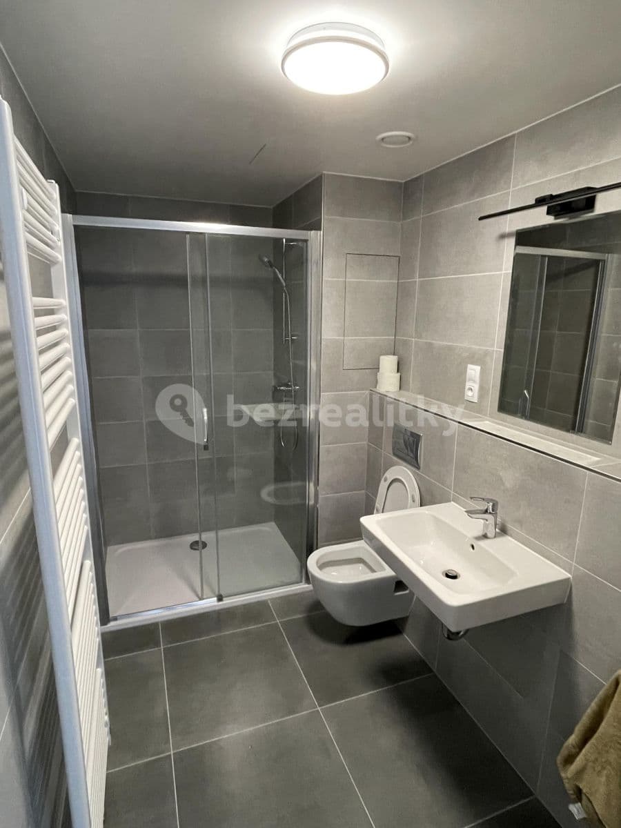 Studio flat to rent, 38 m², Ve Lhotce, Prague, Prague Studio flat to rent, 38 m², Ve Lhotce, Prague, Prague