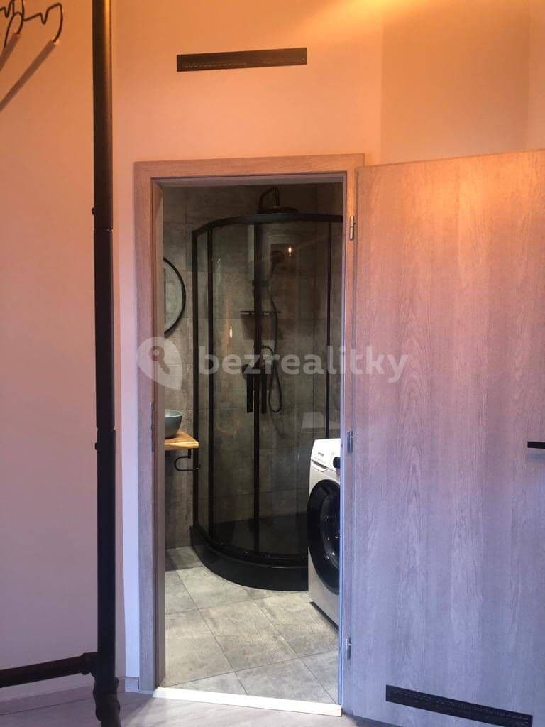 1 bedroom with open-plan kitchen flat to rent, 33 m², Turnovská, Prague, Prague 1 bedroom with open-plan kitchen flat to rent, 33 m², Turnovská, Prague, Prague
