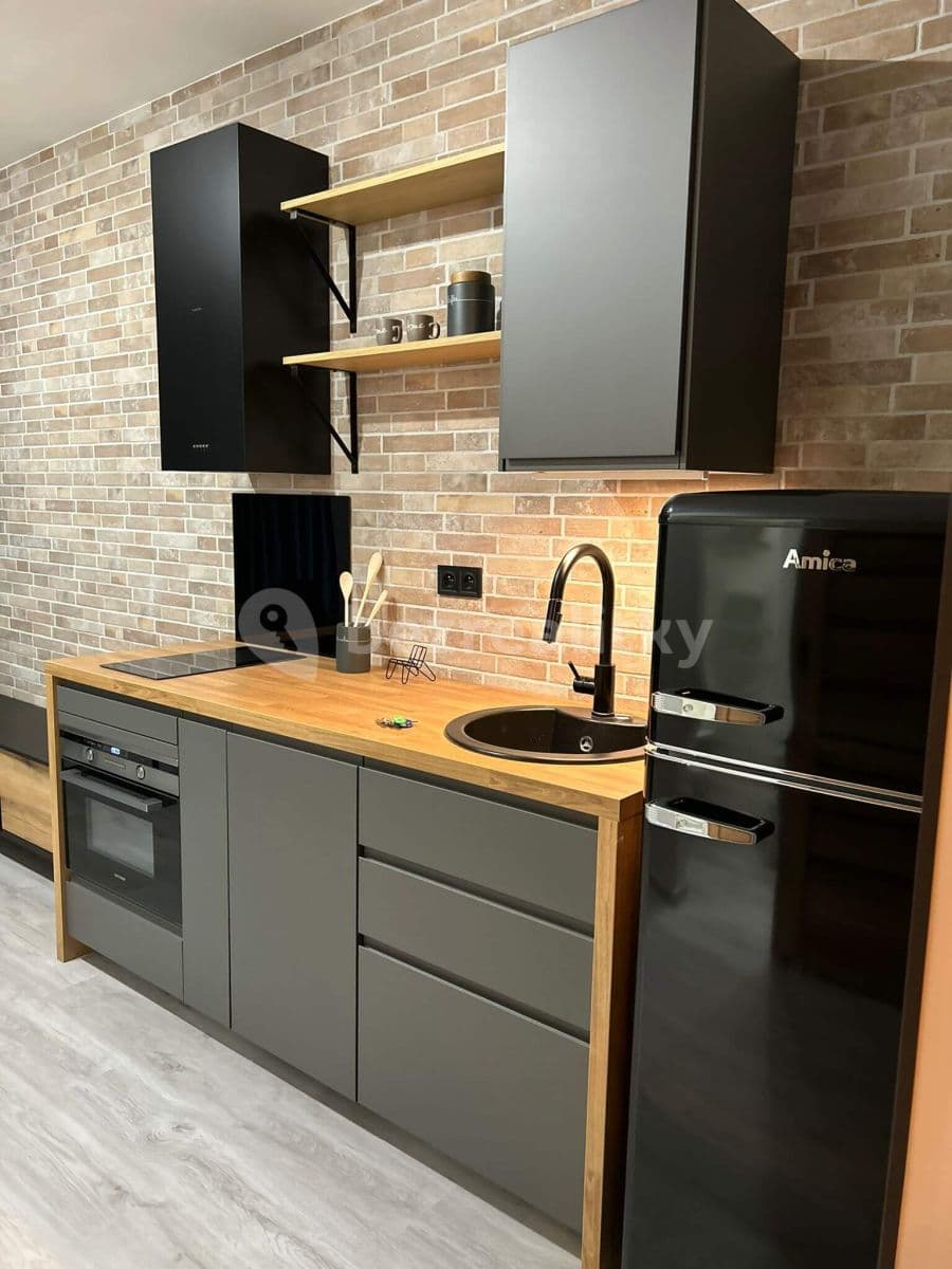 1 bedroom with open-plan kitchen flat to rent, 33 m², Turnovská, Prague, Prague 1 bedroom with open-plan kitchen flat to rent, 33 m², Turnovská, Prague, Prague