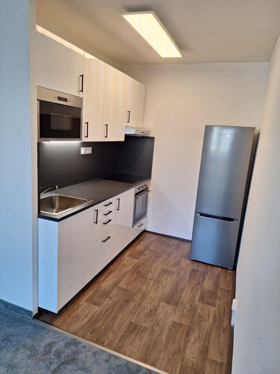 1 bedroom with open-plan kitchen flat to rent, 45 m², U Jezera, Prague, Prague 1 bedroom with open-plan kitchen flat to rent, 45 m², U Jezera, Prague, Prague