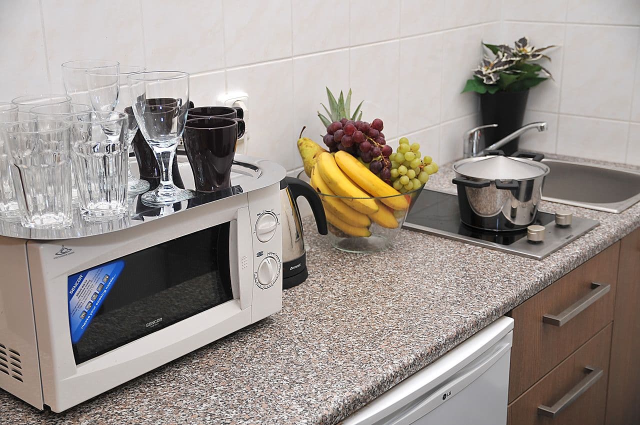 1 bedroom with open-plan kitchen flat to rent, 45 m², U Santošky, Prague, Prague 1 bedroom with open-plan kitchen flat to rent, 45 m², U Santošky, Prague, Prague