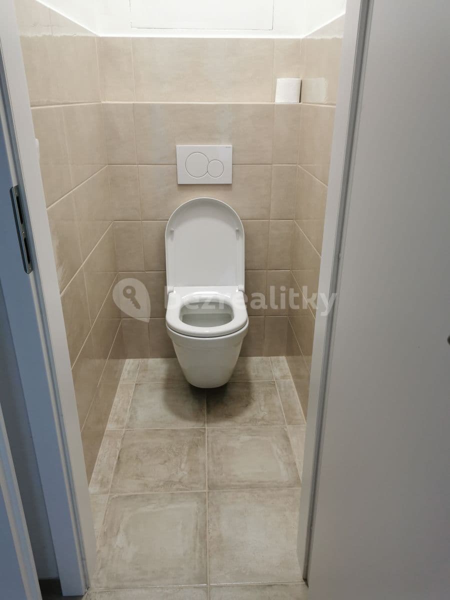 1 bedroom with open-plan kitchen flat to rent, 42 m², Krupská, Prague, Prague 1 bedroom with open-plan kitchen flat to rent, 42 m², Krupská, Prague, Prague