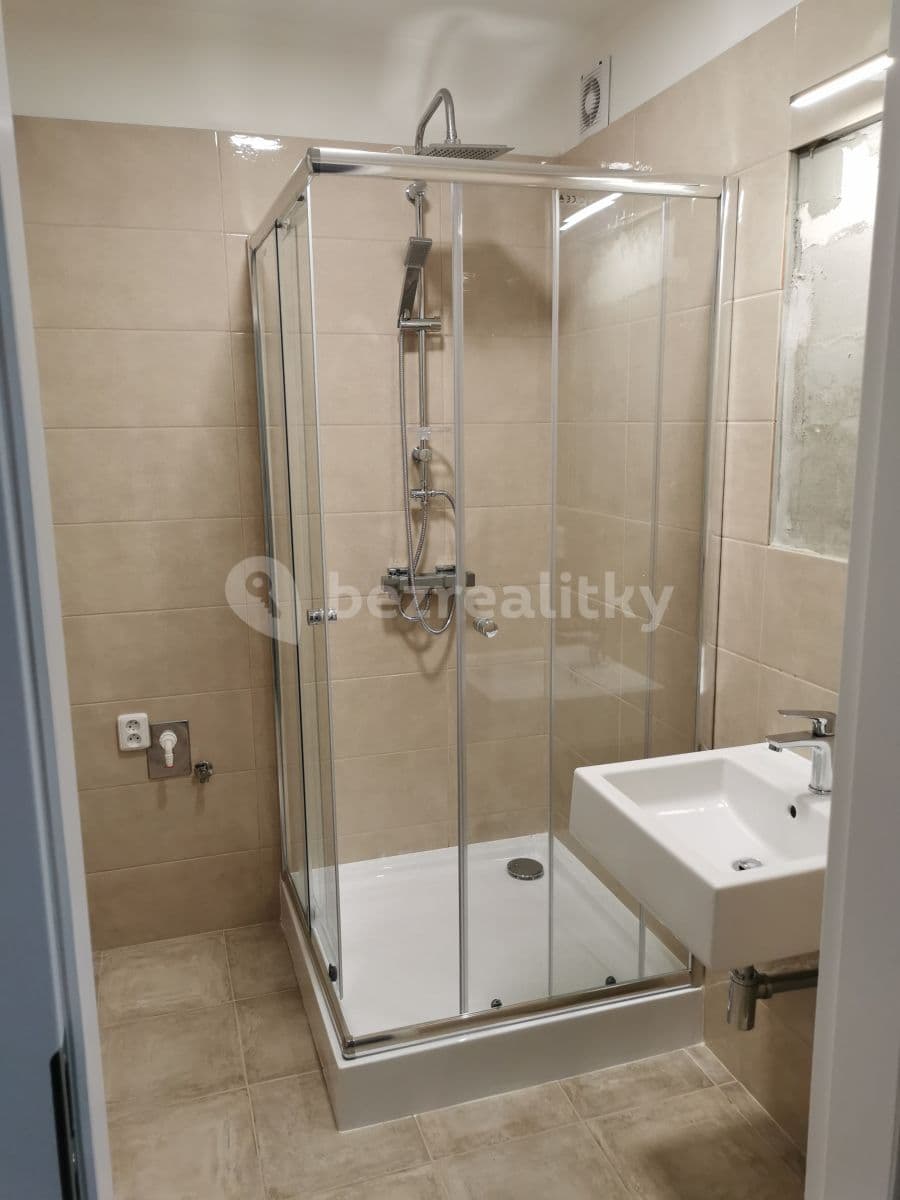 1 bedroom with open-plan kitchen flat to rent, 42 m², Krupská, Prague, Prague 1 bedroom with open-plan kitchen flat to rent, 42 m², Krupská, Prague, Prague