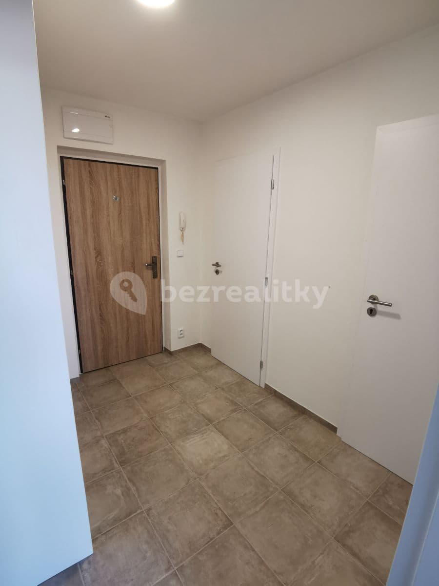 1 bedroom with open-plan kitchen flat to rent, 42 m², Krupská, Prague, Prague 1 bedroom with open-plan kitchen flat to rent, 42 m², Krupská, Prague, Prague