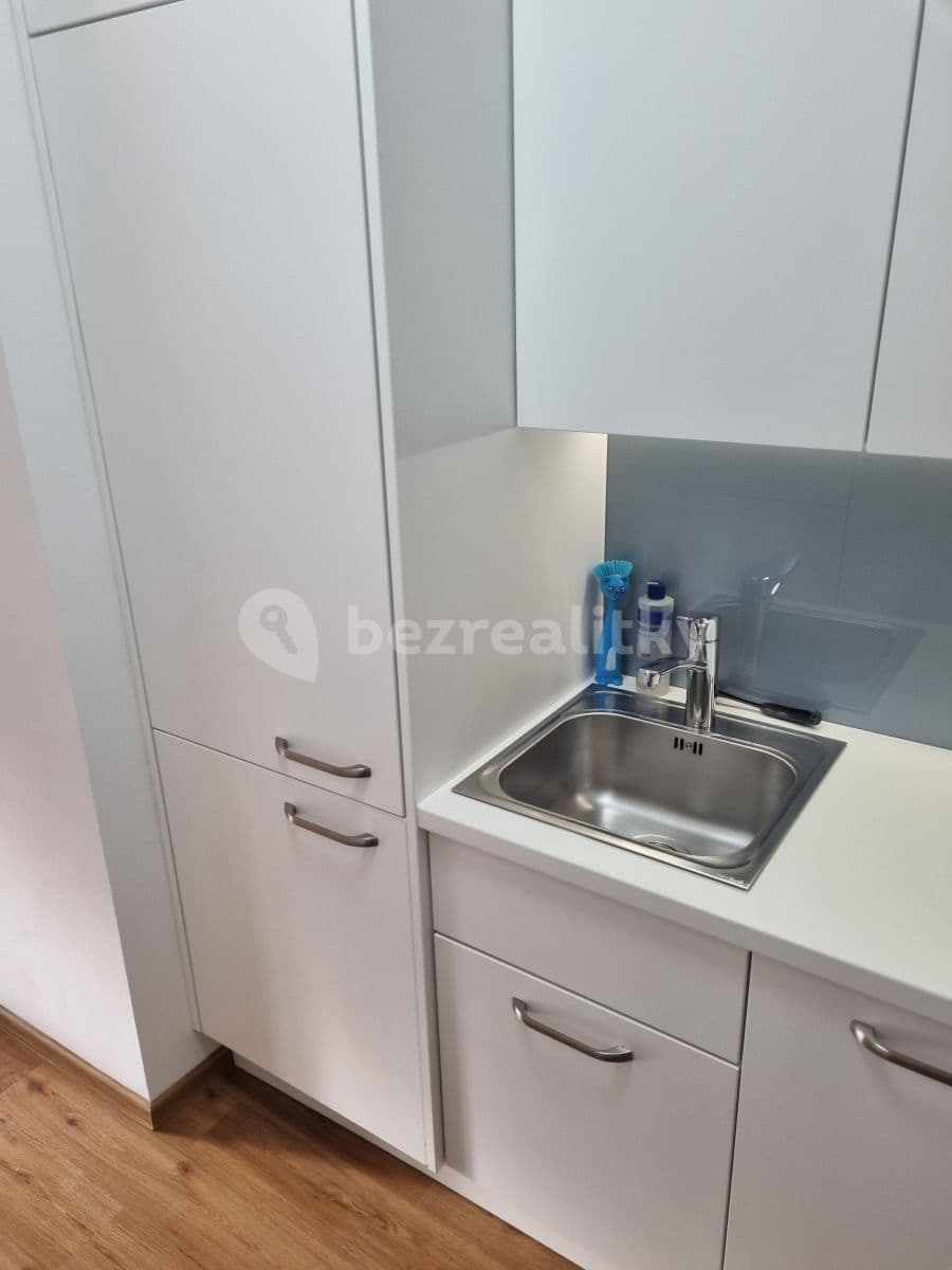 1 bedroom with open-plan kitchen flat to rent, 47 m², Antonínská, Prague, Prague 1 bedroom with open-plan kitchen flat to rent, 47 m², Antonínská, Prague, Prague