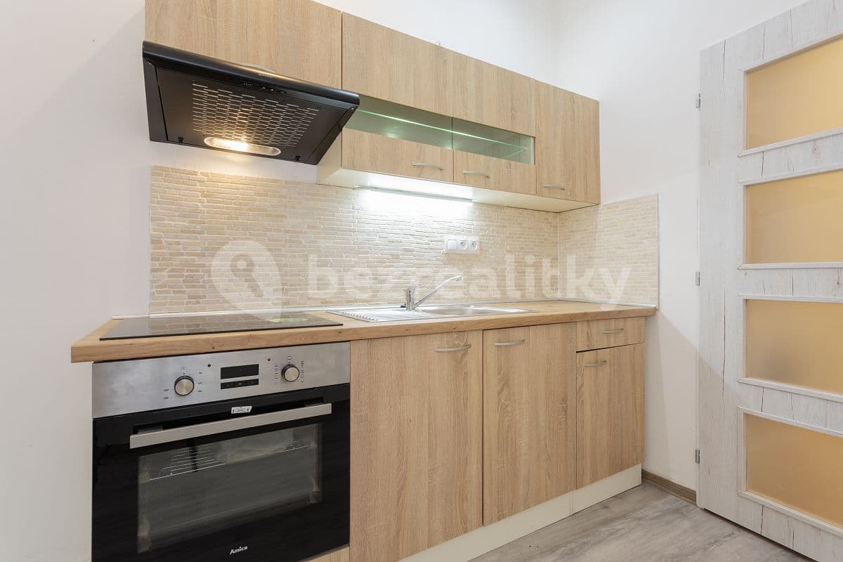 1 bedroom with open-plan kitchen flat to rent, 36 m², Davídkova, Prague, Prague