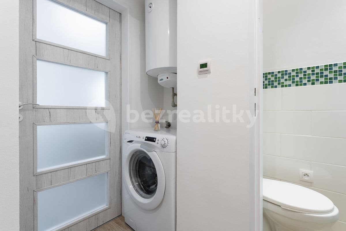 1 bedroom with open-plan kitchen flat to rent, 36 m², Davídkova, Prague, Prague