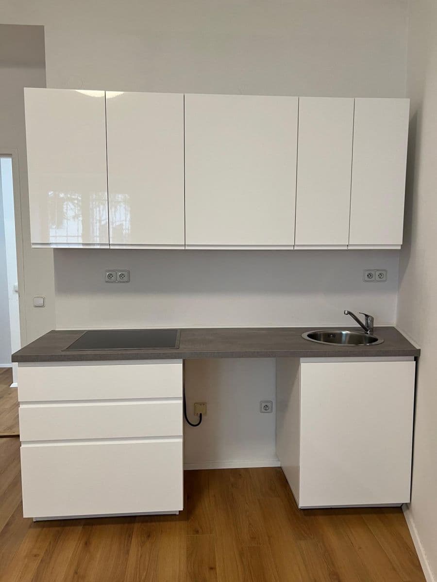 1 bedroom with open-plan kitchen flat to rent, 46 m², Terronská, Prague, Prague 1 bedroom with open-plan kitchen flat to rent, 46 m², Terronská, Prague, Prague