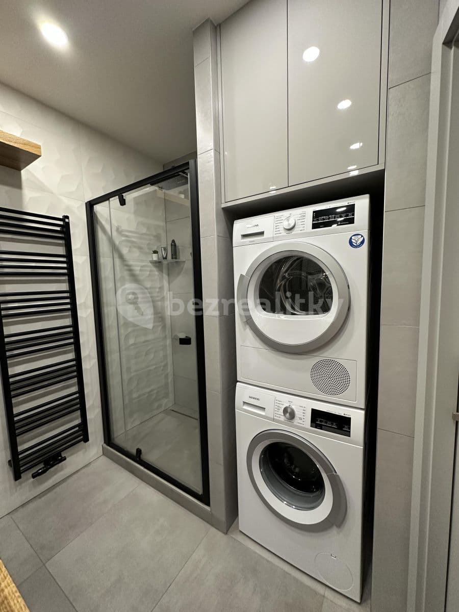 1 bedroom with open-plan kitchen flat to rent, 56 m², Kociánka, Brno, Jihomoravský Region 1 bedroom with open-plan kitchen flat to rent, 56 m², Kociánka, Brno, Jihomoravský Region