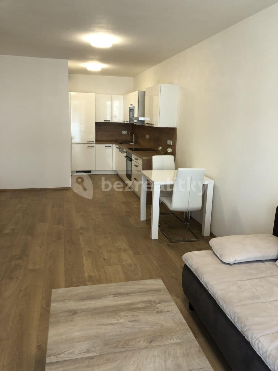 1 bedroom with open-plan kitchen flat to rent, 65 m², Nová, České Budějovice, Jihočeský Region 1 bedroom with open-plan kitchen flat to rent, 65 m², Nová, České Budějovice, Jihočeský Region