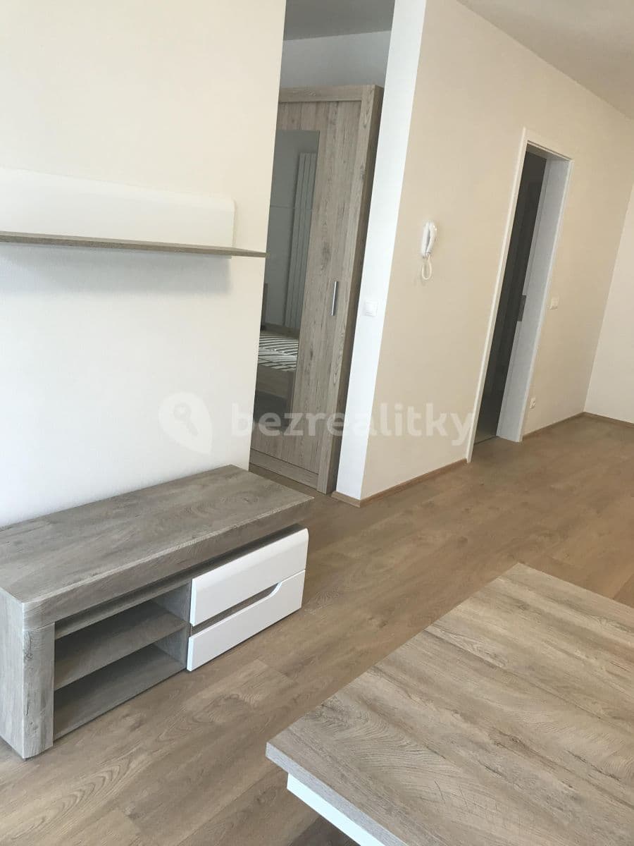 1 bedroom with open-plan kitchen flat to rent, 65 m², Nová, České Budějovice, Jihočeský Region 1 bedroom with open-plan kitchen flat to rent, 65 m², Nová, České Budějovice, Jihočeský Region