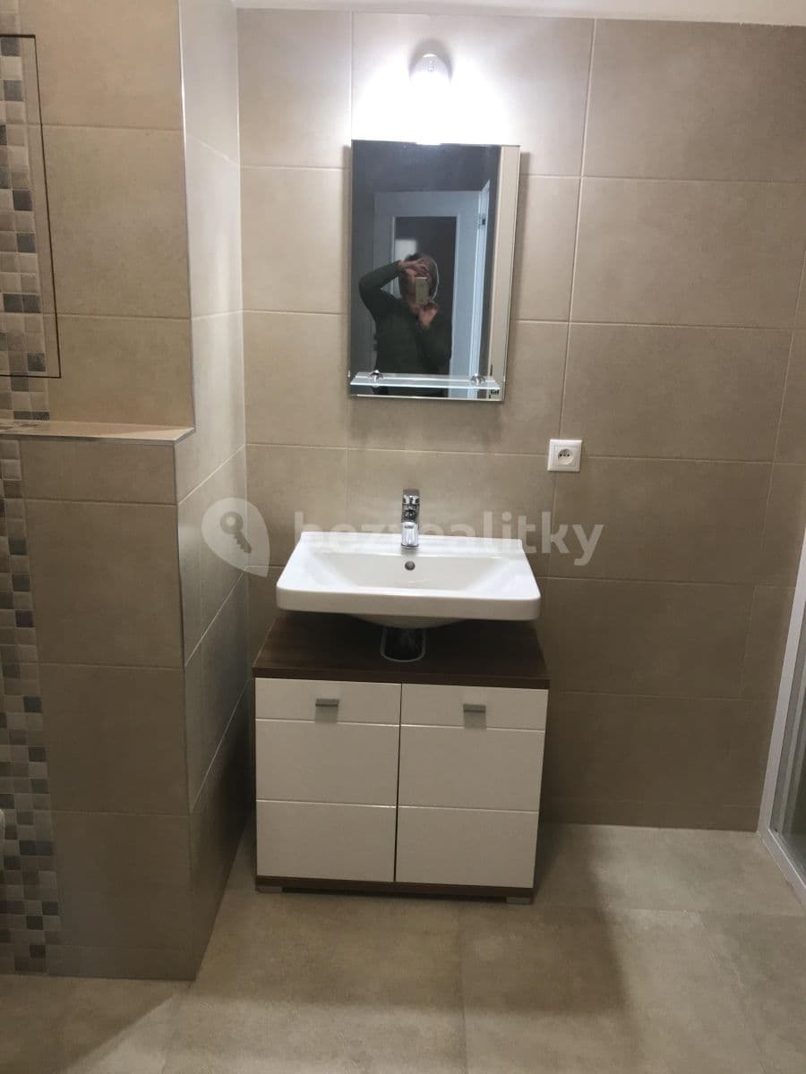 1 bedroom with open-plan kitchen flat to rent, 65 m², Nová, České Budějovice, Jihočeský Region 1 bedroom with open-plan kitchen flat to rent, 65 m², Nová, České Budějovice, Jihočeský Region