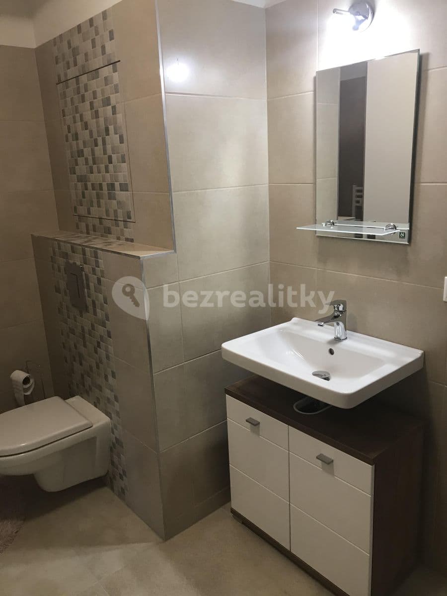 1 bedroom with open-plan kitchen flat to rent, 65 m², Nová, České Budějovice, Jihočeský Region 1 bedroom with open-plan kitchen flat to rent, 65 m², Nová, České Budějovice, Jihočeský Region