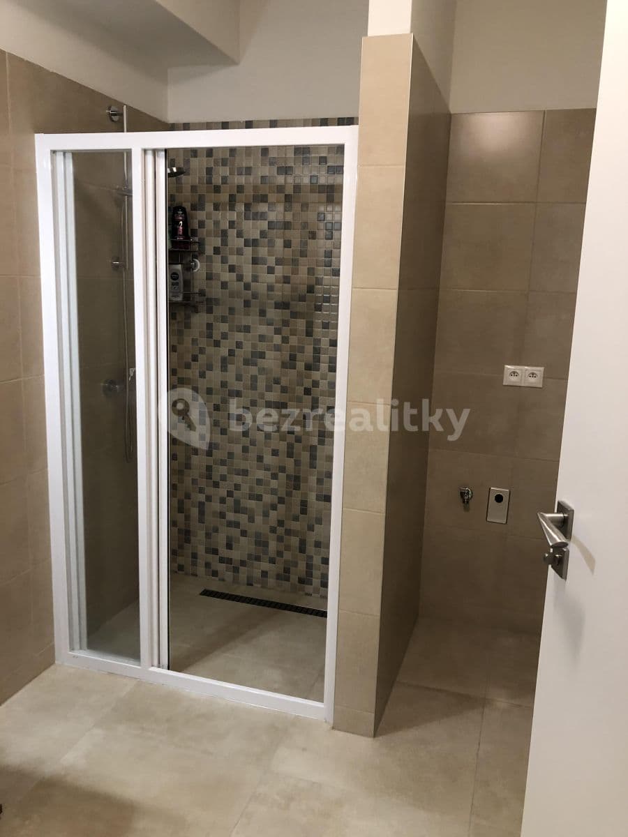 1 bedroom with open-plan kitchen flat to rent, 65 m², Nová, České Budějovice, Jihočeský Region 1 bedroom with open-plan kitchen flat to rent, 65 m², Nová, České Budějovice, Jihočeský Region