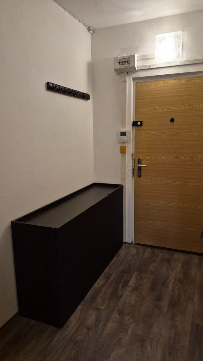 1 bedroom with open-plan kitchen flat to rent, 44 m², Spodní, Brno, Jihomoravský Region 1 bedroom with open-plan kitchen flat to rent, 44 m², Spodní, Brno, Jihomoravský Region