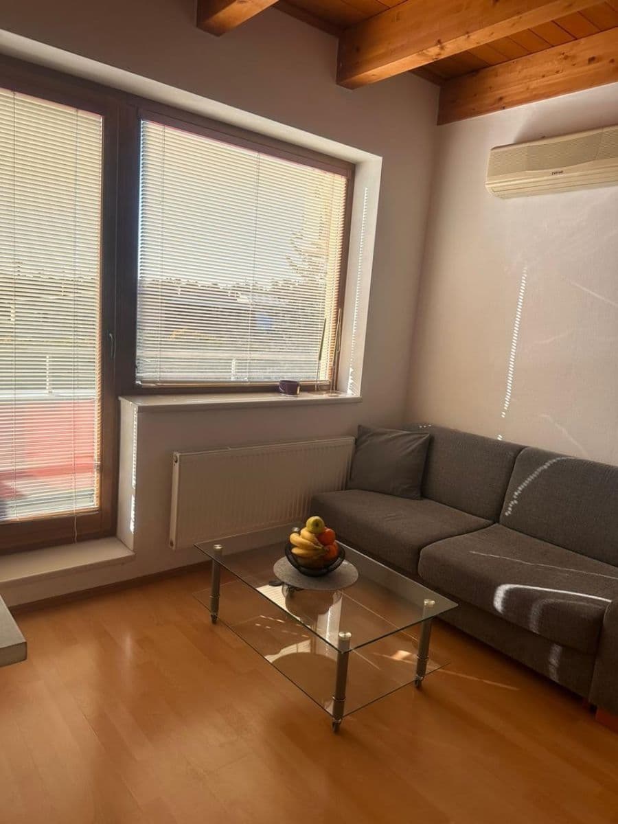 1 bedroom with open-plan kitchen flat to rent, 45 m², Brno, Jihomoravský Region 1 bedroom with open-plan kitchen flat to rent, 45 m², Brno, Jihomoravský Region