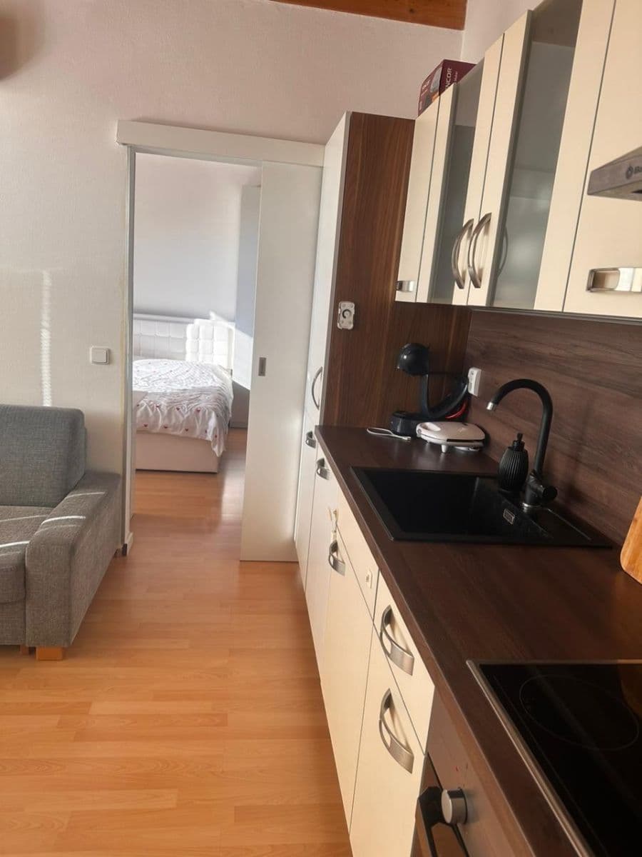 1 bedroom with open-plan kitchen flat to rent, 45 m², Brno, Jihomoravský Region 1 bedroom with open-plan kitchen flat to rent, 45 m², Brno, Jihomoravský Region