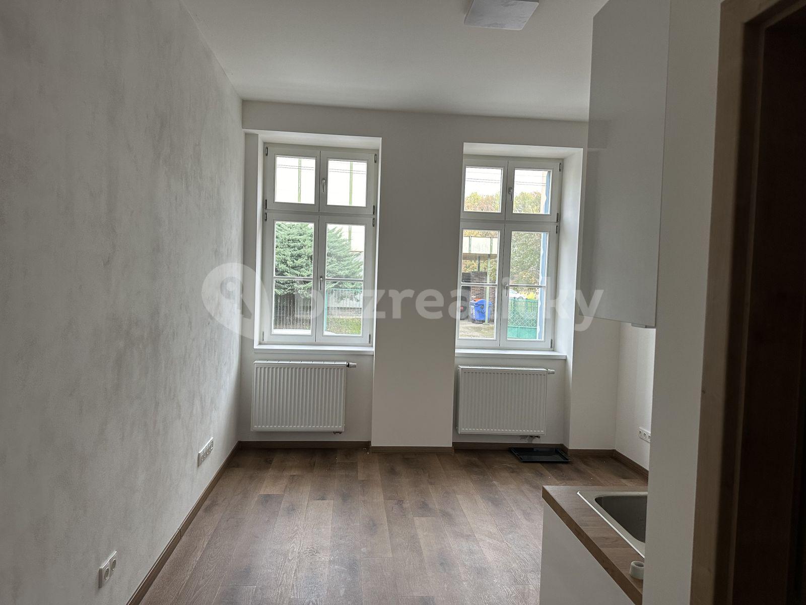 1 bedroom with open-plan kitchen flat to rent, 36 m², Jankovcova, Teplice, Ústecký Region