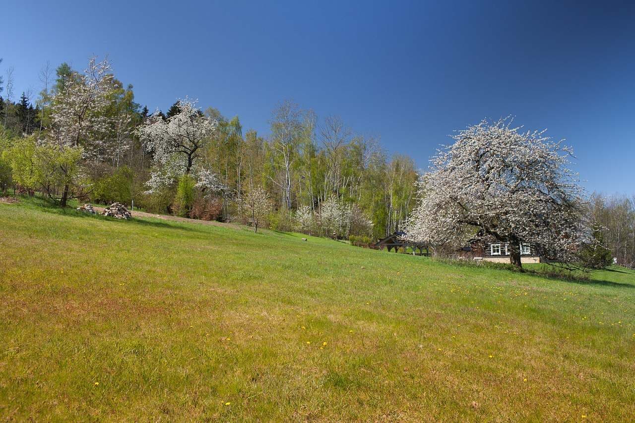 recreational property to rent, 0 m², Horní Brusnice, Královéhradecký Region recreational property to rent, 0 m², Horní Brusnice, Královéhradecký Region