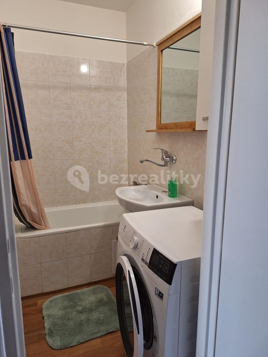 1 bedroom with open-plan kitchen flat to rent, 45 m², Frýdlantská, Prague, Prague 1 bedroom with open-plan kitchen flat to rent, 45 m², Frýdlantská, Prague, Prague
