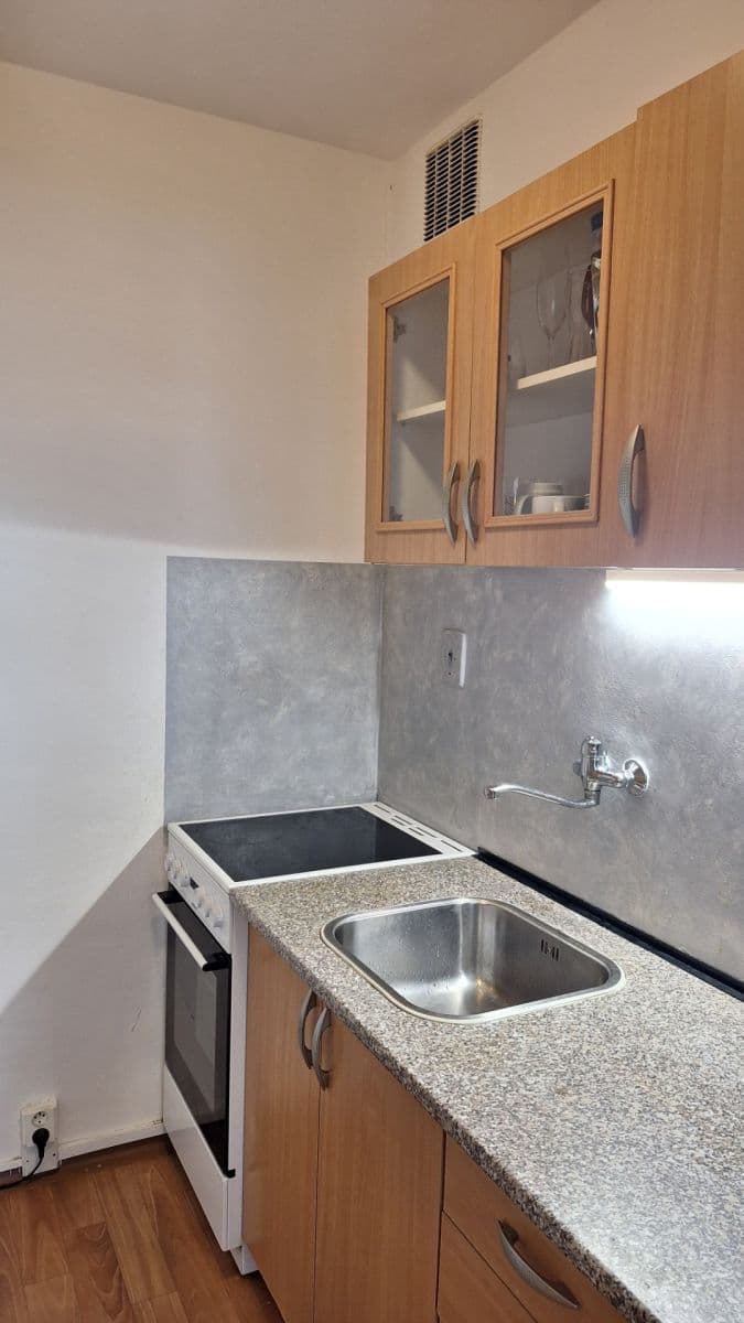 1 bedroom with open-plan kitchen flat to rent, 45 m², Frýdlantská, Prague, Prague 1 bedroom with open-plan kitchen flat to rent, 45 m², Frýdlantská, Prague, Prague