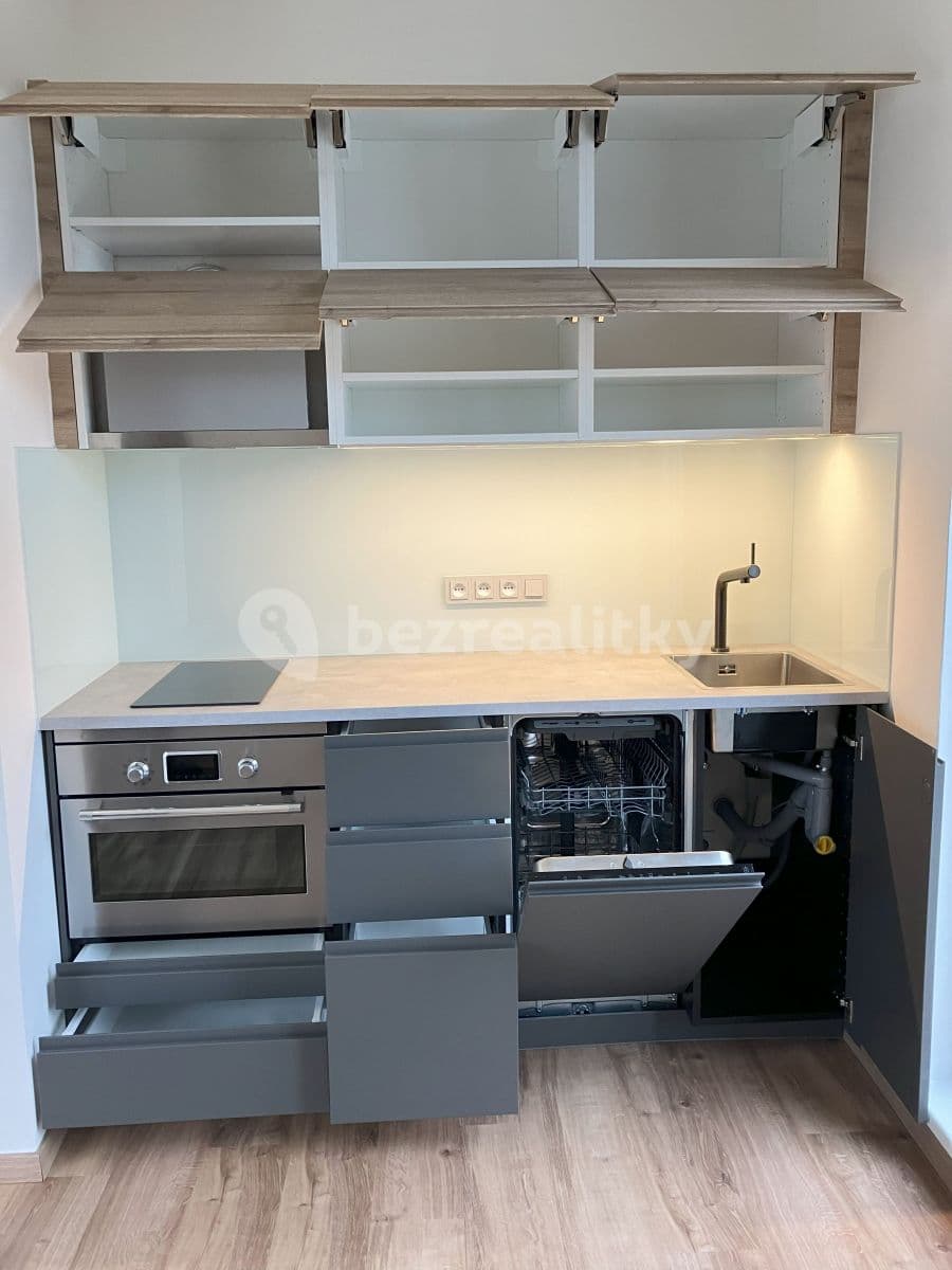 1 bedroom with open-plan kitchen flat to rent, 40 m², Nad Ondřejovem, Prague, Prague 1 bedroom with open-plan kitchen flat to rent, 40 m², Nad Ondřejovem, Prague, Prague
