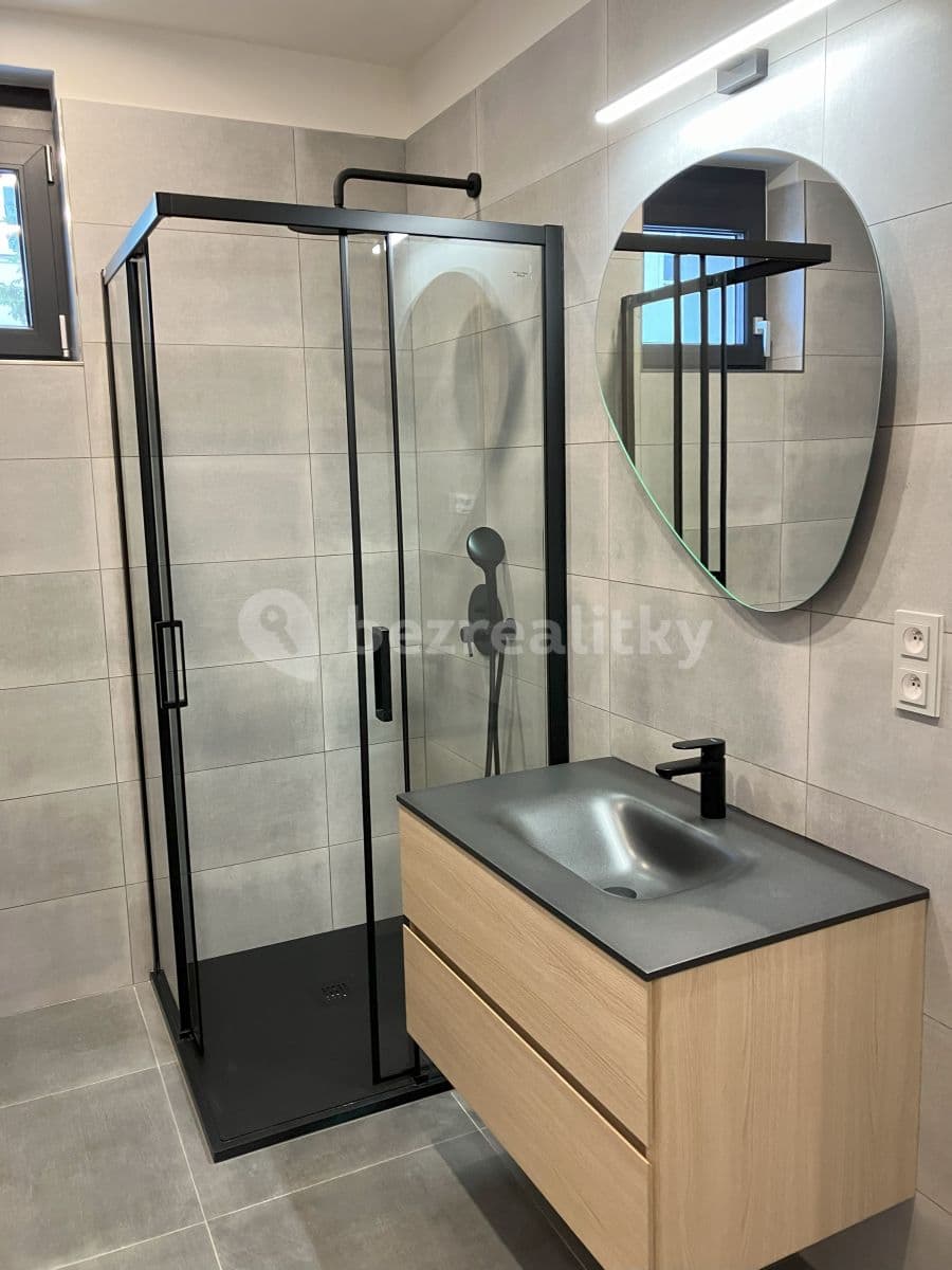 1 bedroom with open-plan kitchen flat to rent, 40 m², Nad Ondřejovem, Prague, Prague 1 bedroom with open-plan kitchen flat to rent, 40 m², Nad Ondřejovem, Prague, Prague