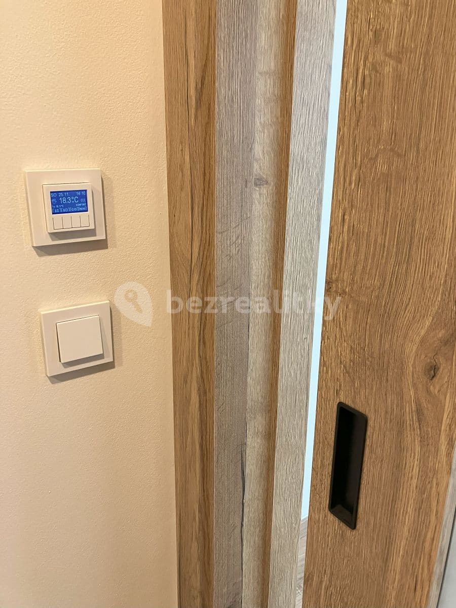 1 bedroom with open-plan kitchen flat to rent, 40 m², Nad Ondřejovem, Prague, Prague 1 bedroom with open-plan kitchen flat to rent, 40 m², Nad Ondřejovem, Prague, Prague