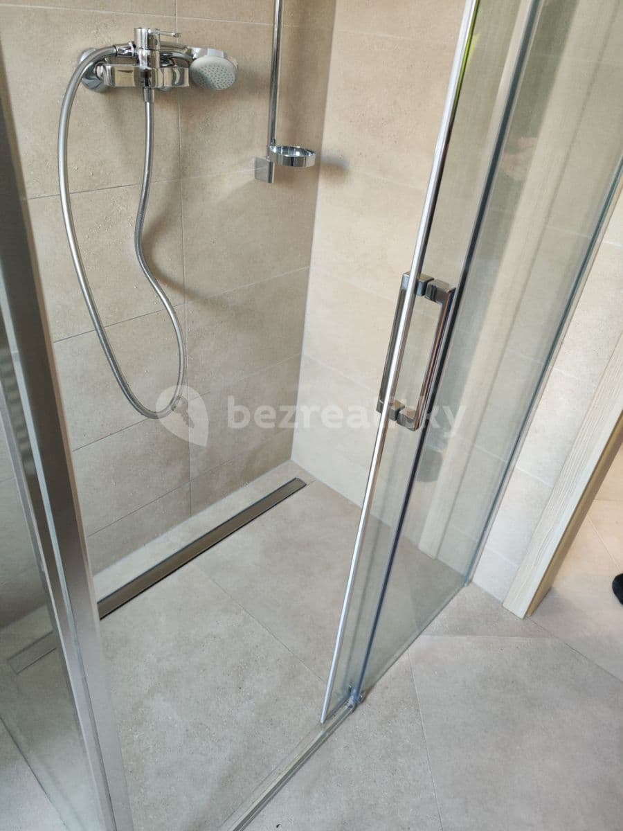 1 bedroom with open-plan kitchen flat to rent, 54 m², Šternovská, Prague, Prague 1 bedroom with open-plan kitchen flat to rent, 54 m², Šternovská, Prague, Prague