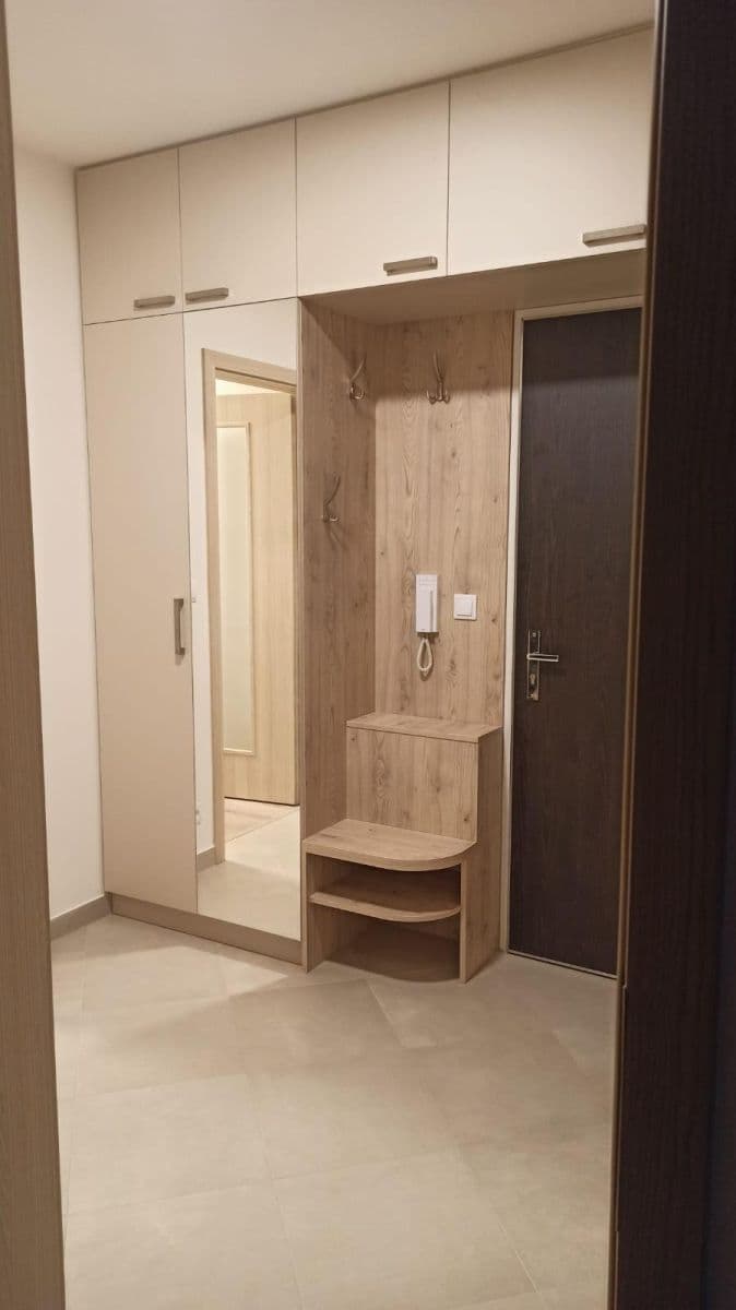 1 bedroom with open-plan kitchen flat to rent, 54 m², Šternovská, Prague, Prague 1 bedroom with open-plan kitchen flat to rent, 54 m², Šternovská, Prague, Prague