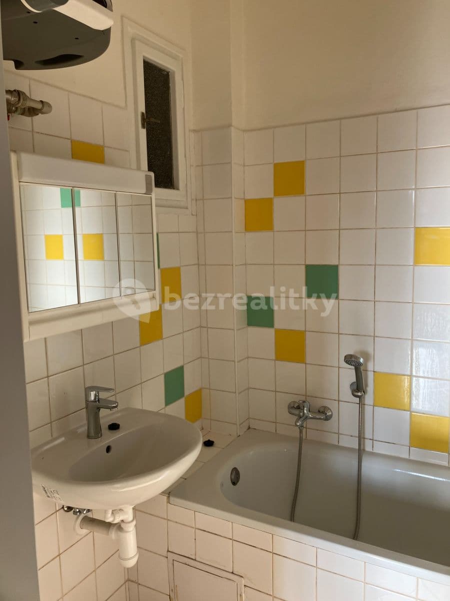 1 bedroom with open-plan kitchen flat to rent, 54 m², V Horkách, Prague, Prague 1 bedroom with open-plan kitchen flat to rent, 54 m², V Horkách, Prague, Prague