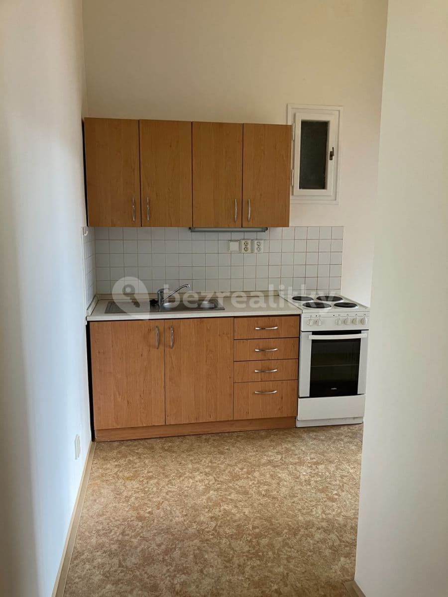 1 bedroom with open-plan kitchen flat to rent, 54 m², V Horkách, Prague, Prague 1 bedroom with open-plan kitchen flat to rent, 54 m², V Horkách, Prague, Prague