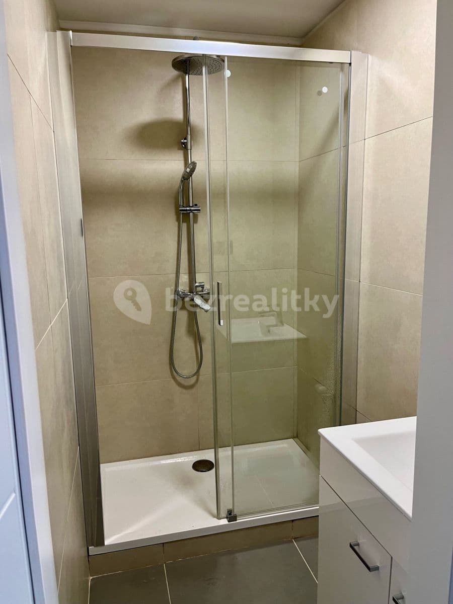 1 bedroom with open-plan kitchen flat to rent, 52 m², Plickova, Prague, Prague 1 bedroom with open-plan kitchen flat to rent, 52 m², Plickova, Prague, Prague