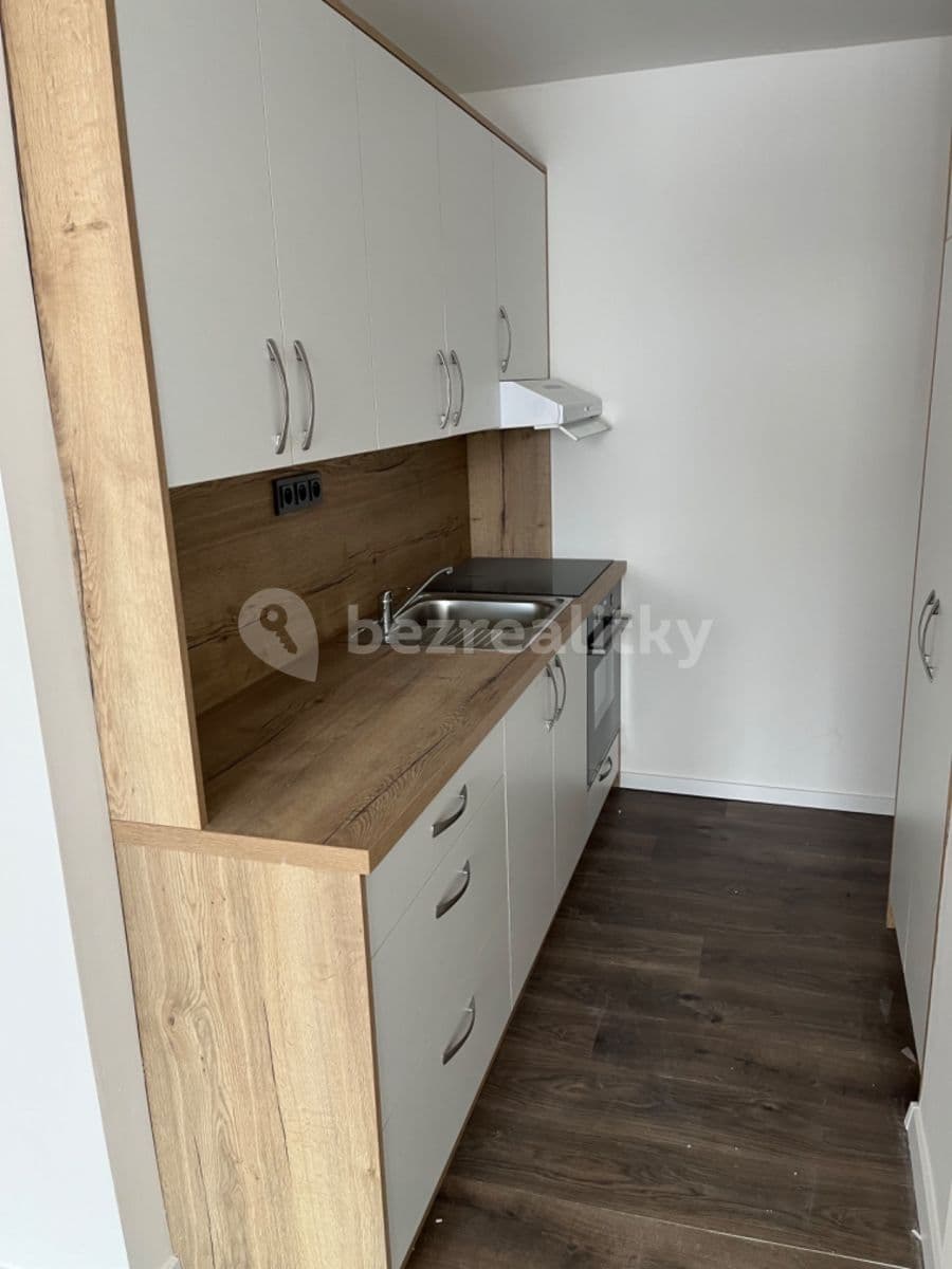 1 bedroom with open-plan kitchen flat to rent, 52 m², Plickova, Prague, Prague 1 bedroom with open-plan kitchen flat to rent, 52 m², Plickova, Prague, Prague