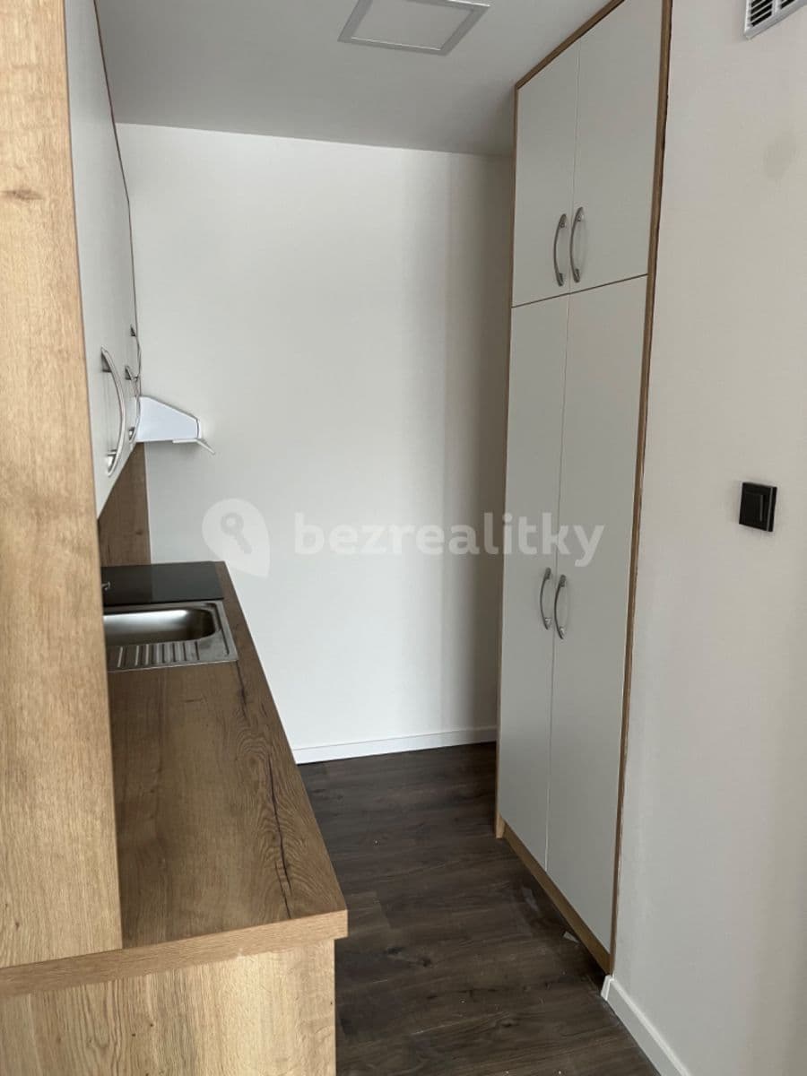 1 bedroom with open-plan kitchen flat to rent, 52 m², Plickova, Prague, Prague 1 bedroom with open-plan kitchen flat to rent, 52 m², Plickova, Prague, Prague