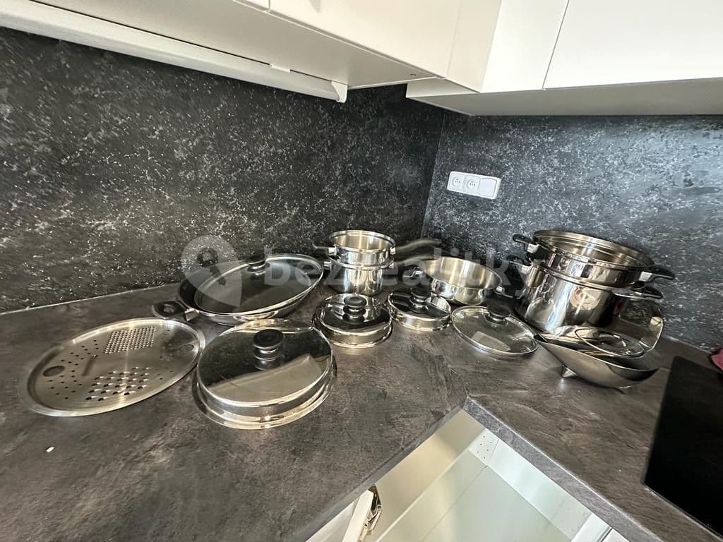 1 bedroom with open-plan kitchen flat to rent, 55 m², Ondrákové, Prague, Prague 1 bedroom with open-plan kitchen flat to rent, 55 m², Ondrákové, Prague, Prague