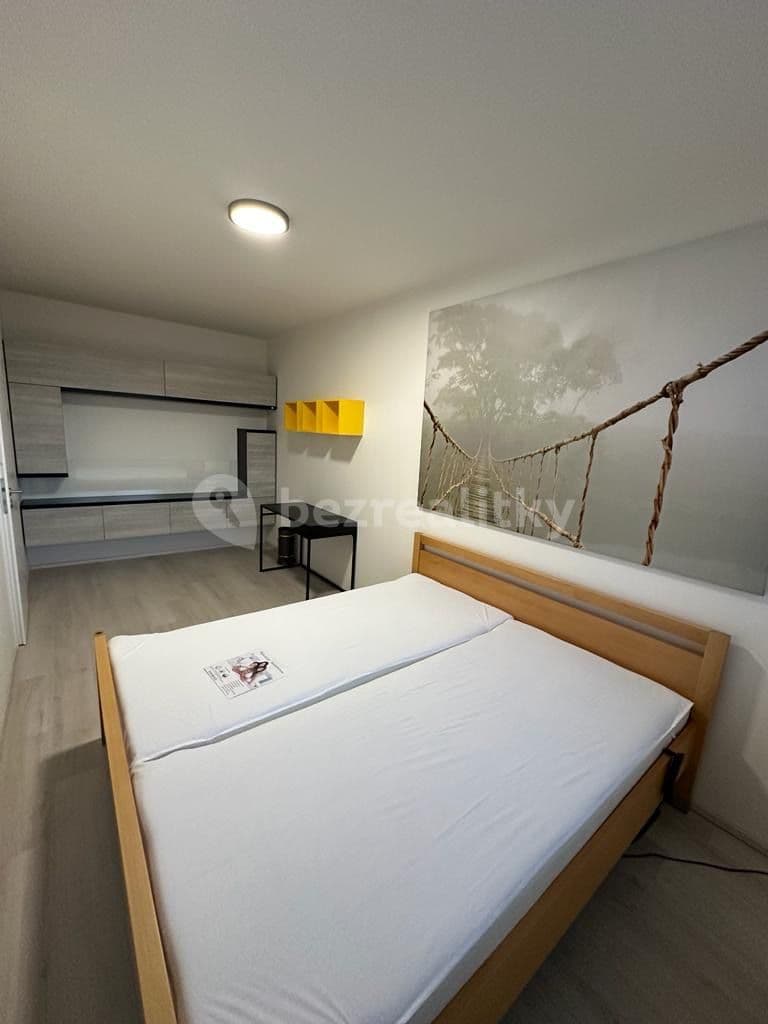 1 bedroom with open-plan kitchen flat to rent, 55 m², Ondrákové, Prague, Prague 1 bedroom with open-plan kitchen flat to rent, 55 m², Ondrákové, Prague, Prague