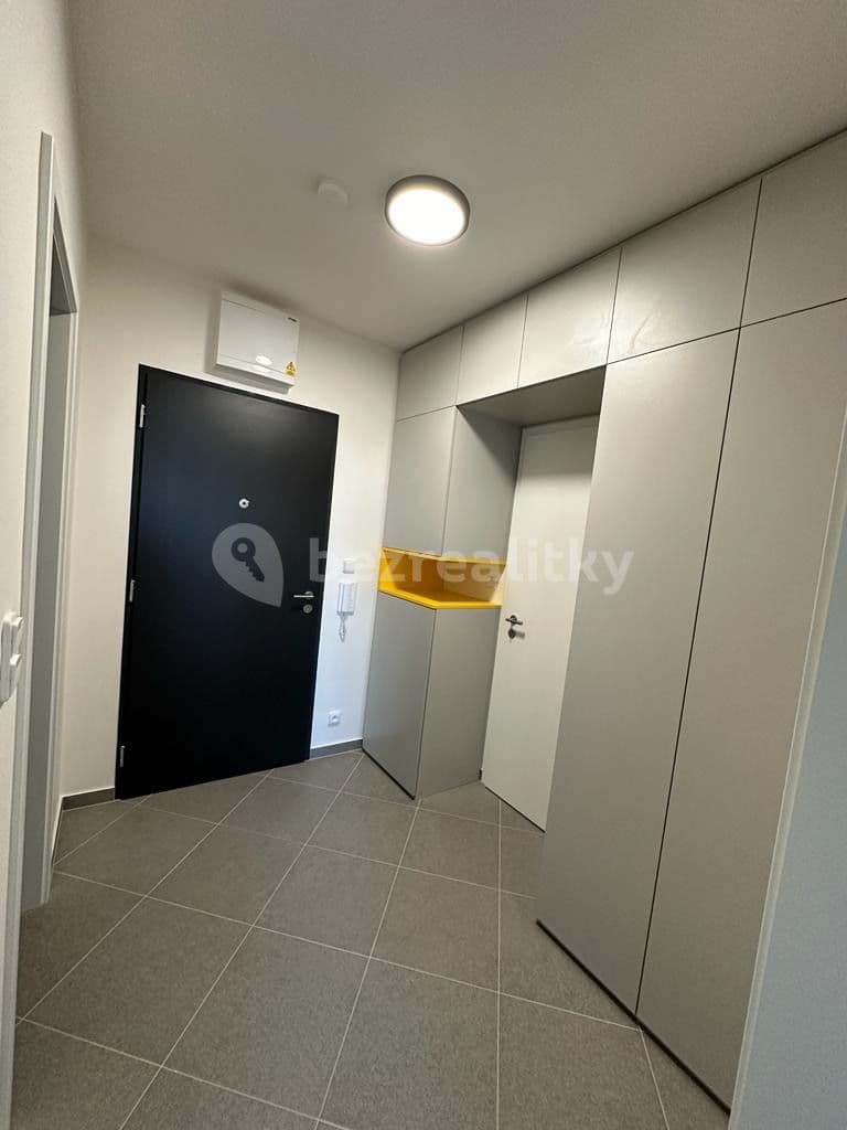 1 bedroom with open-plan kitchen flat to rent, 55 m², Ondrákové, Prague, Prague 1 bedroom with open-plan kitchen flat to rent, 55 m², Ondrákové, Prague, Prague