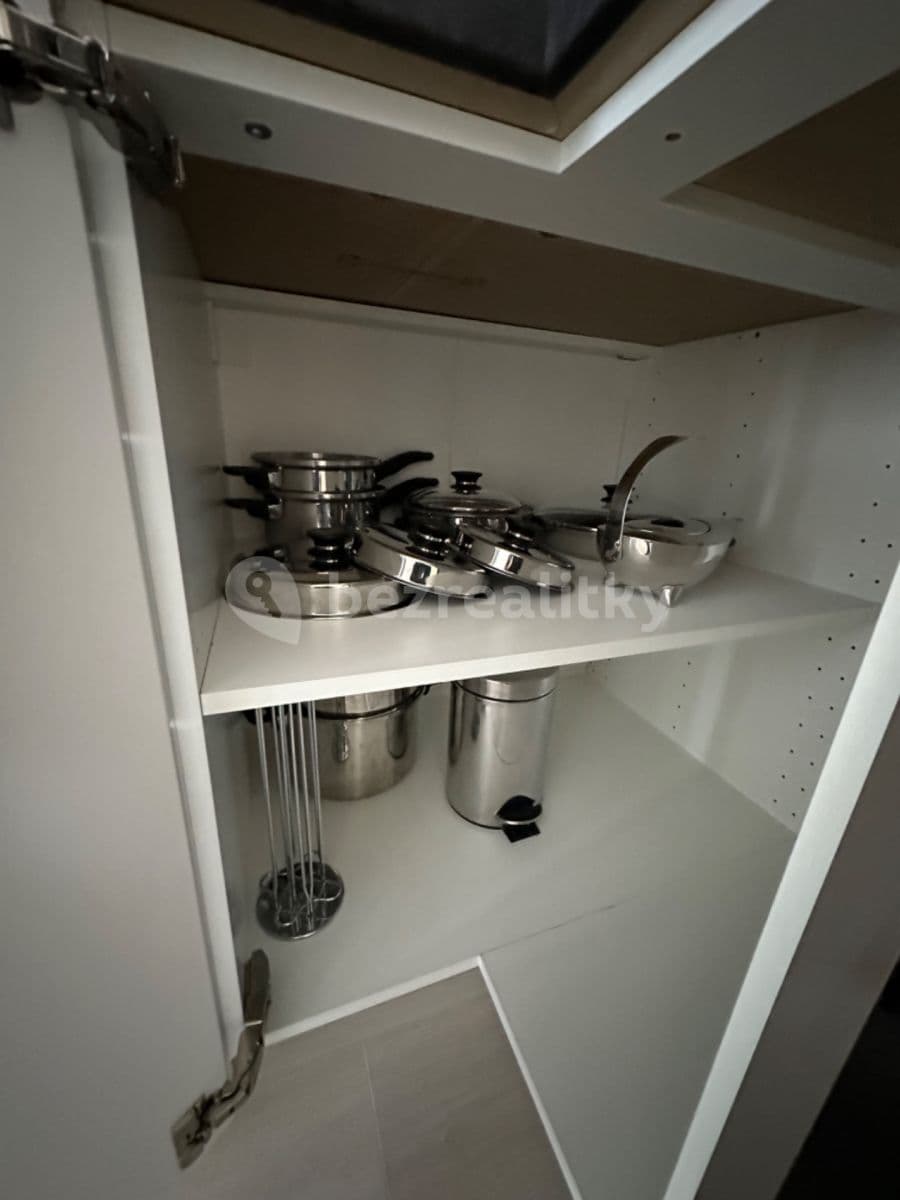 1 bedroom with open-plan kitchen flat to rent, 55 m², Ondrákové, Prague, Prague 1 bedroom with open-plan kitchen flat to rent, 55 m², Ondrákové, Prague, Prague