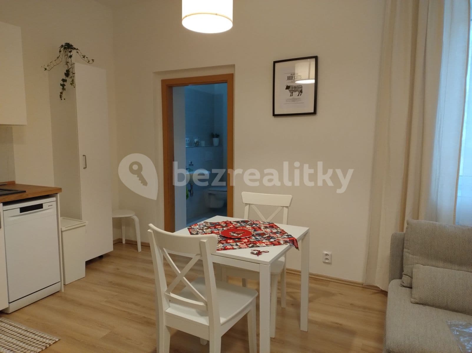 1 bedroom with open-plan kitchen flat to rent, 53 m², Hřímalého, Plzeň, Plzeňský Region 1 bedroom with open-plan kitchen flat to rent, 53 m², Hřímalého, Plzeň, Plzeňský Region