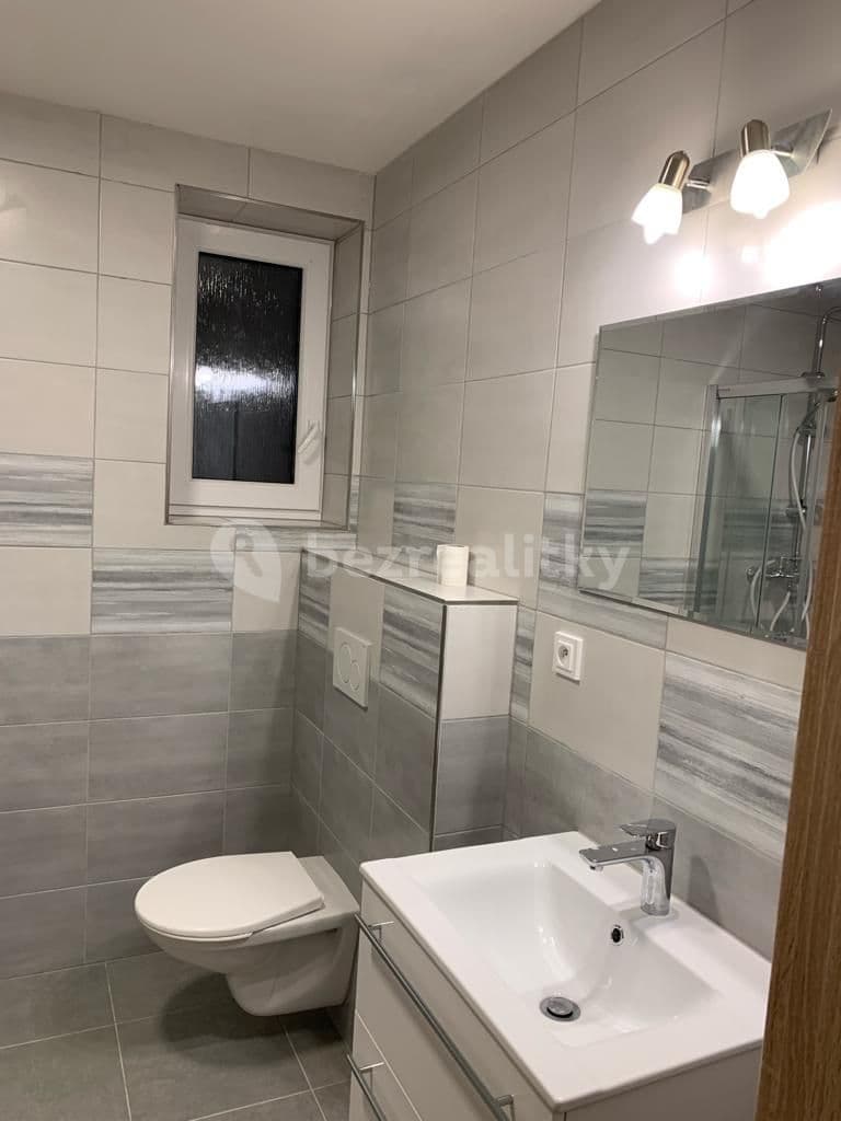1 bedroom with open-plan kitchen flat to rent, 60 m², Bořitov, Jihomoravský Region 1 bedroom with open-plan kitchen flat to rent, 60 m², Bořitov, Jihomoravský Region