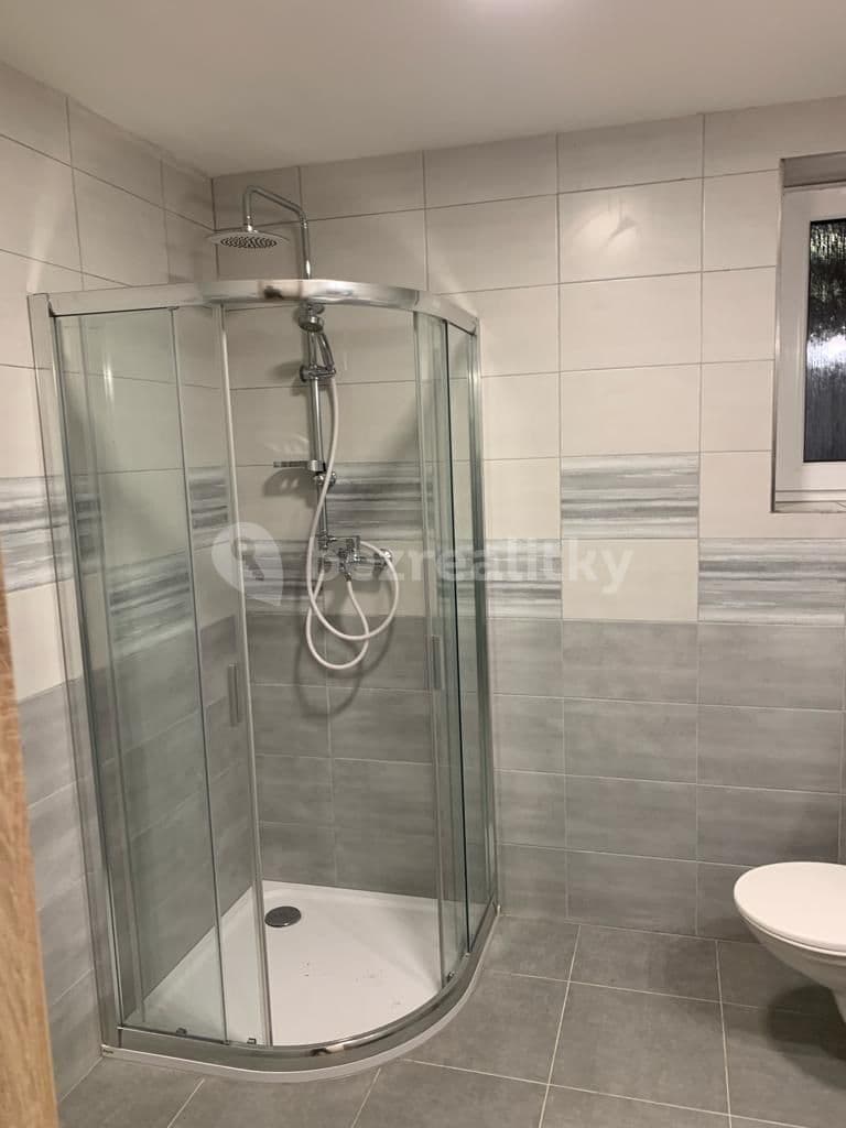 1 bedroom with open-plan kitchen flat to rent, 60 m², Bořitov, Jihomoravský Region 1 bedroom with open-plan kitchen flat to rent, 60 m², Bořitov, Jihomoravský Region