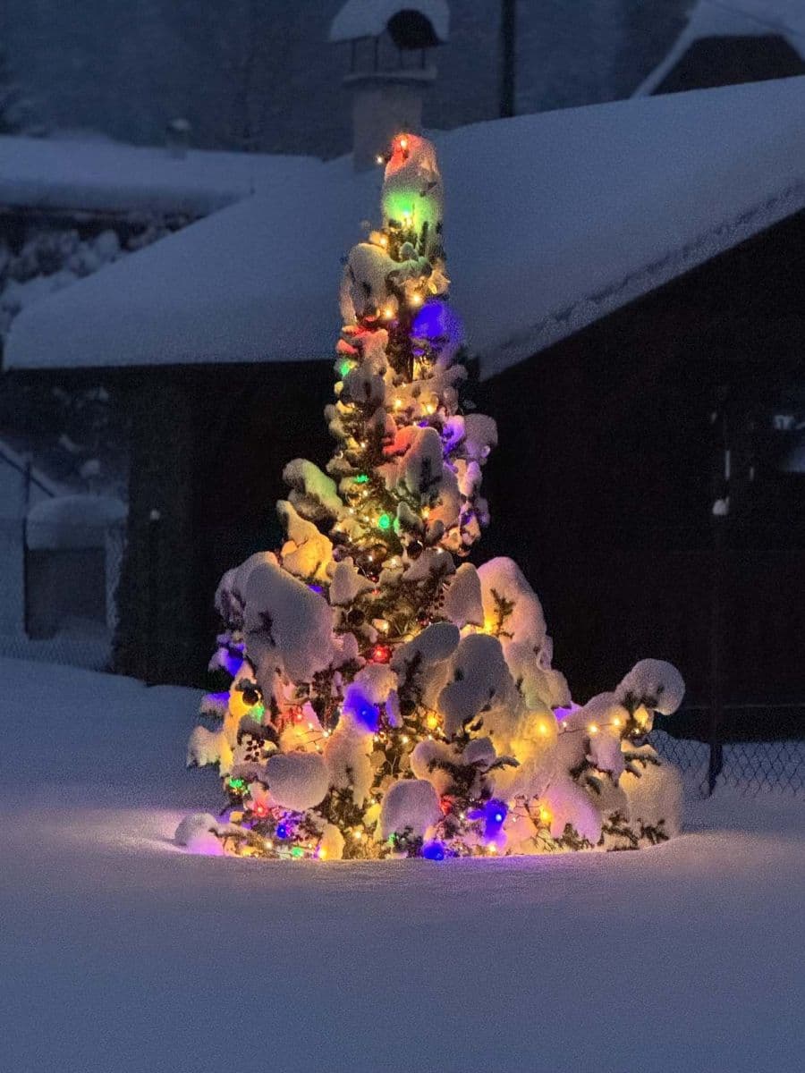 recreational property to rent, 0 m², Velké Karlovice, Zlínský Region recreational property to rent, 0 m², Velké Karlovice, Zlínský Region