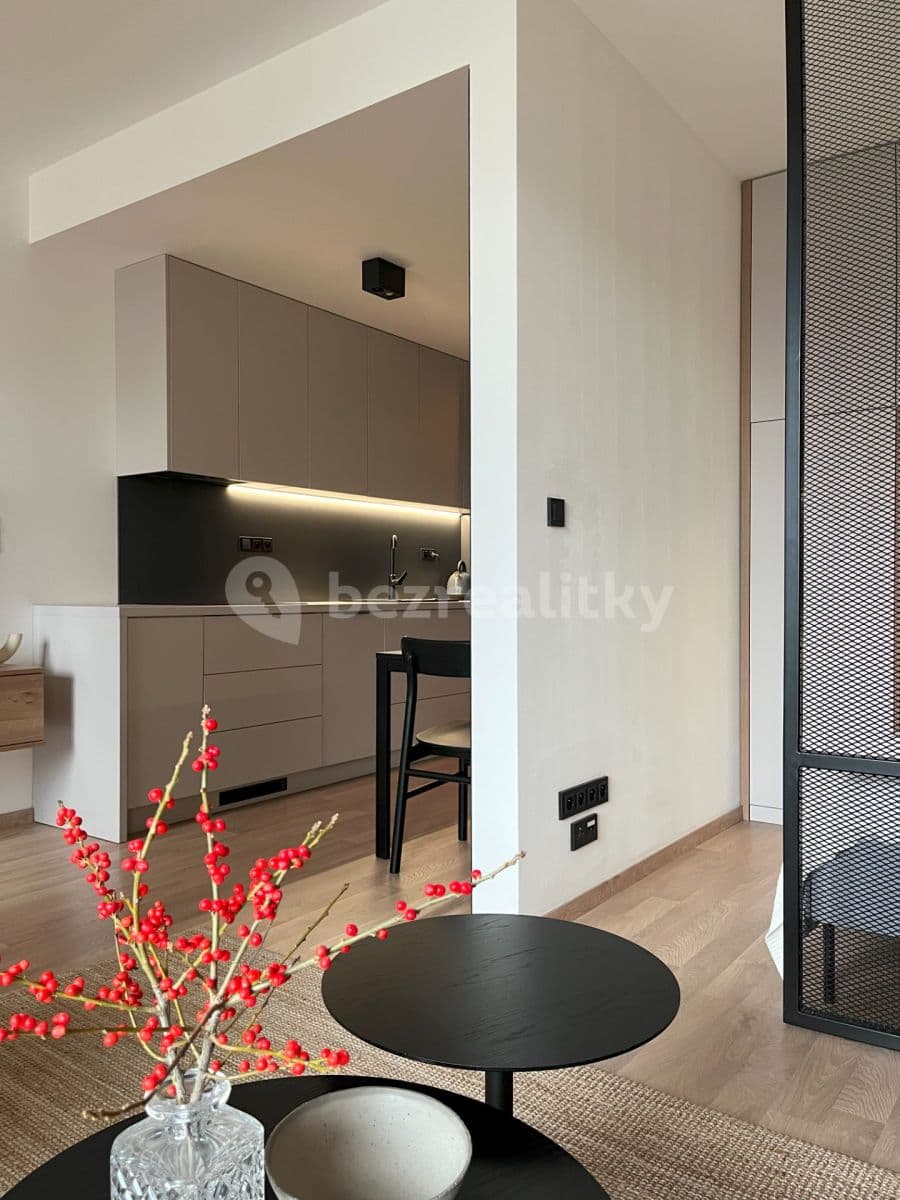 1 bedroom with open-plan kitchen flat to rent, 38 m², Olgy Havlové, Prague, Prague 1 bedroom with open-plan kitchen flat to rent, 38 m², Olgy Havlové, Prague, Prague