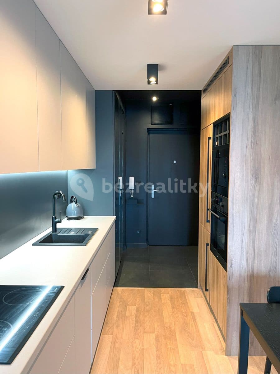 1 bedroom with open-plan kitchen flat to rent, 38 m², Olgy Havlové, Prague, Prague 1 bedroom with open-plan kitchen flat to rent, 38 m², Olgy Havlové, Prague, Prague
