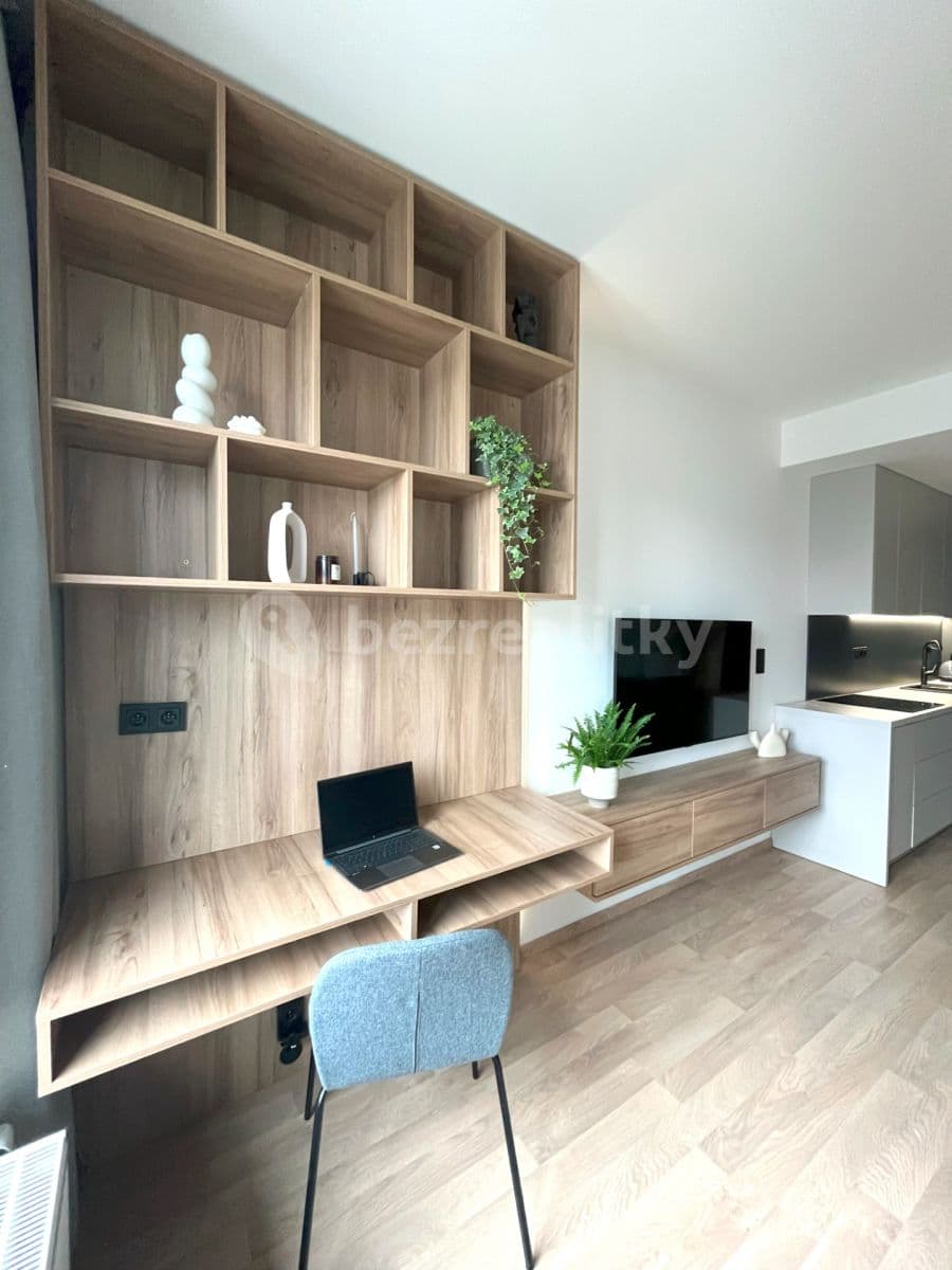 1 bedroom with open-plan kitchen flat to rent, 38 m², Olgy Havlové, Prague, Prague 1 bedroom with open-plan kitchen flat to rent, 38 m², Olgy Havlové, Prague, Prague
