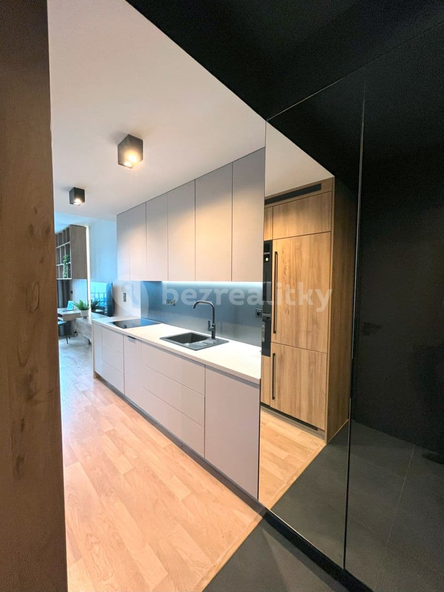 1 bedroom with open-plan kitchen flat to rent, 38 m², Olgy Havlové, Prague, Prague 1 bedroom with open-plan kitchen flat to rent, 38 m², Olgy Havlové, Prague, Prague