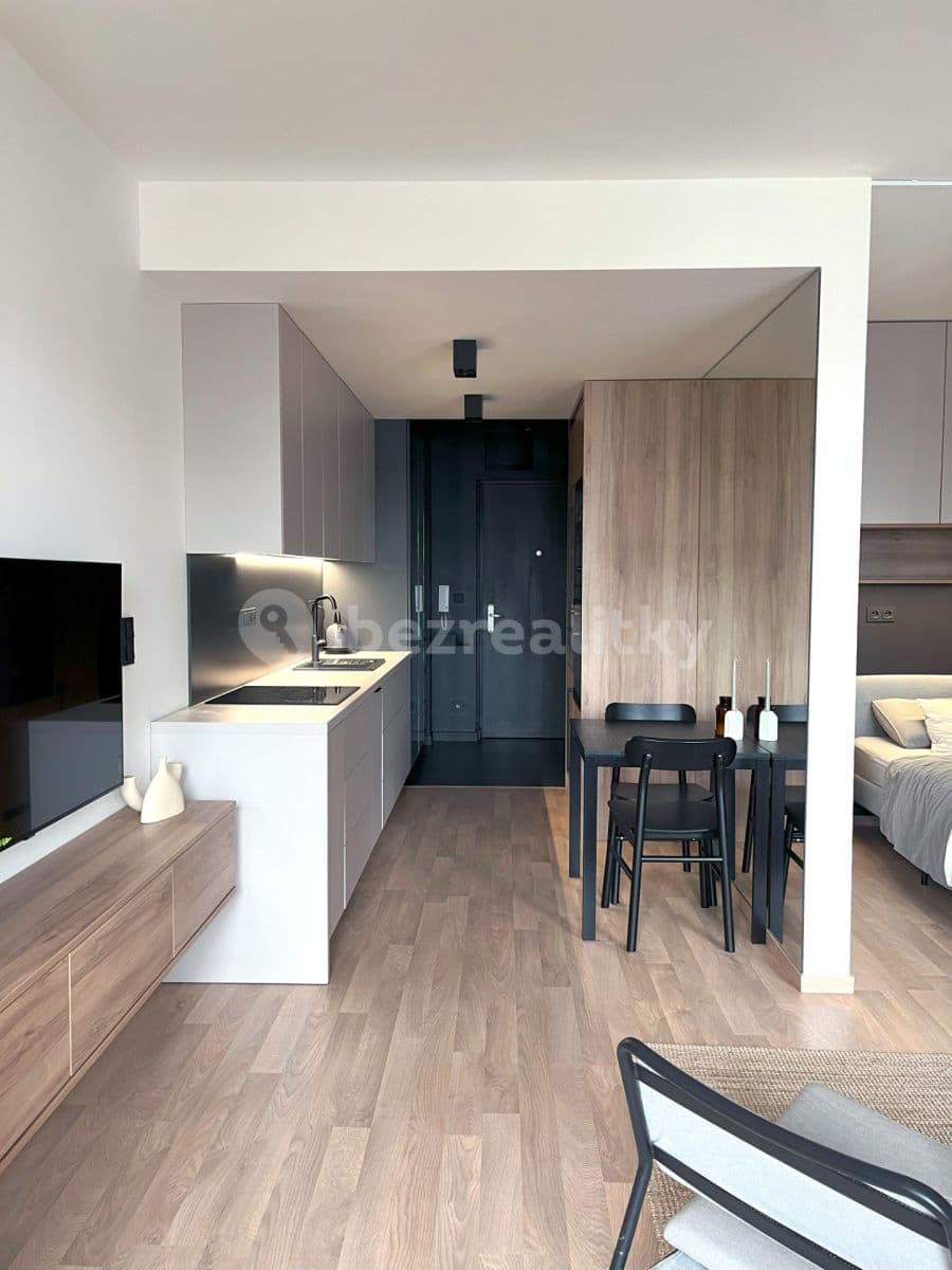 1 bedroom with open-plan kitchen flat to rent, 38 m², Olgy Havlové, Prague, Prague 1 bedroom with open-plan kitchen flat to rent, 38 m², Olgy Havlové, Prague, Prague